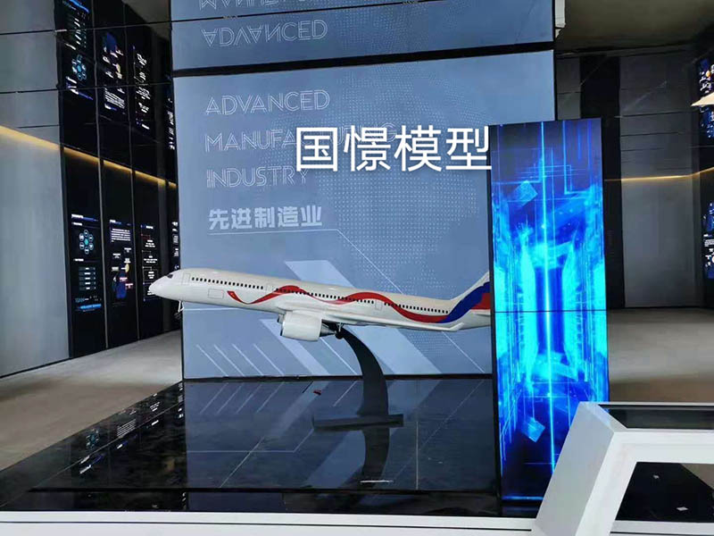 无为市飞机模型