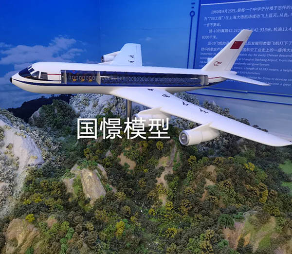 无为市飞机模型