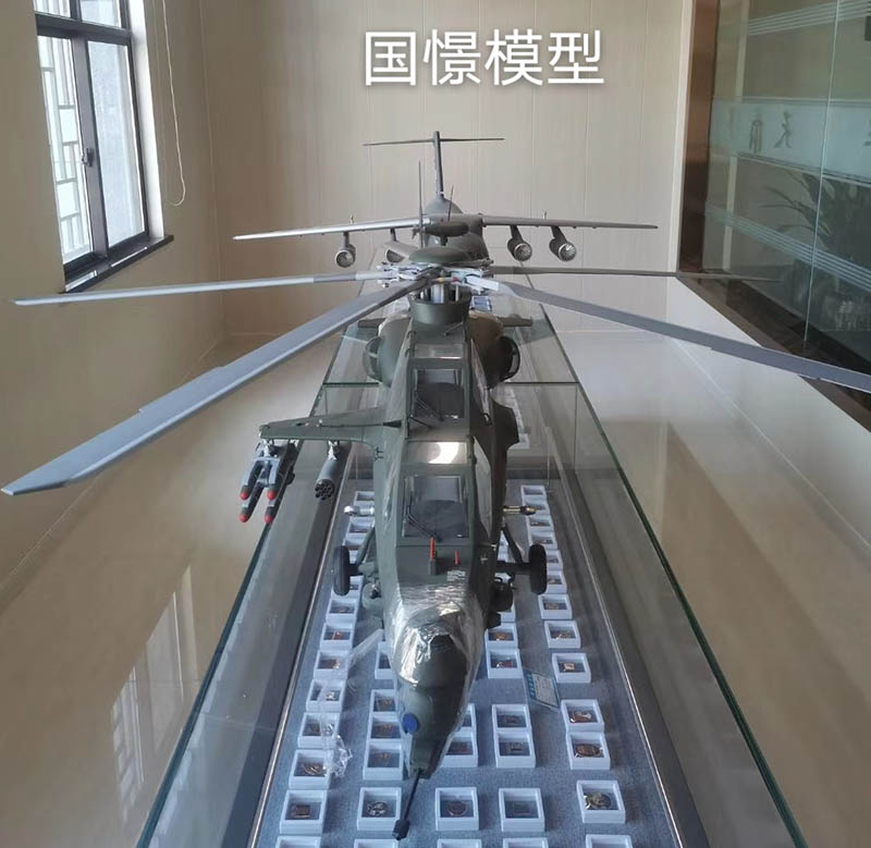 无为市飞机模型