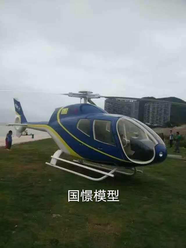 无为市飞机模型