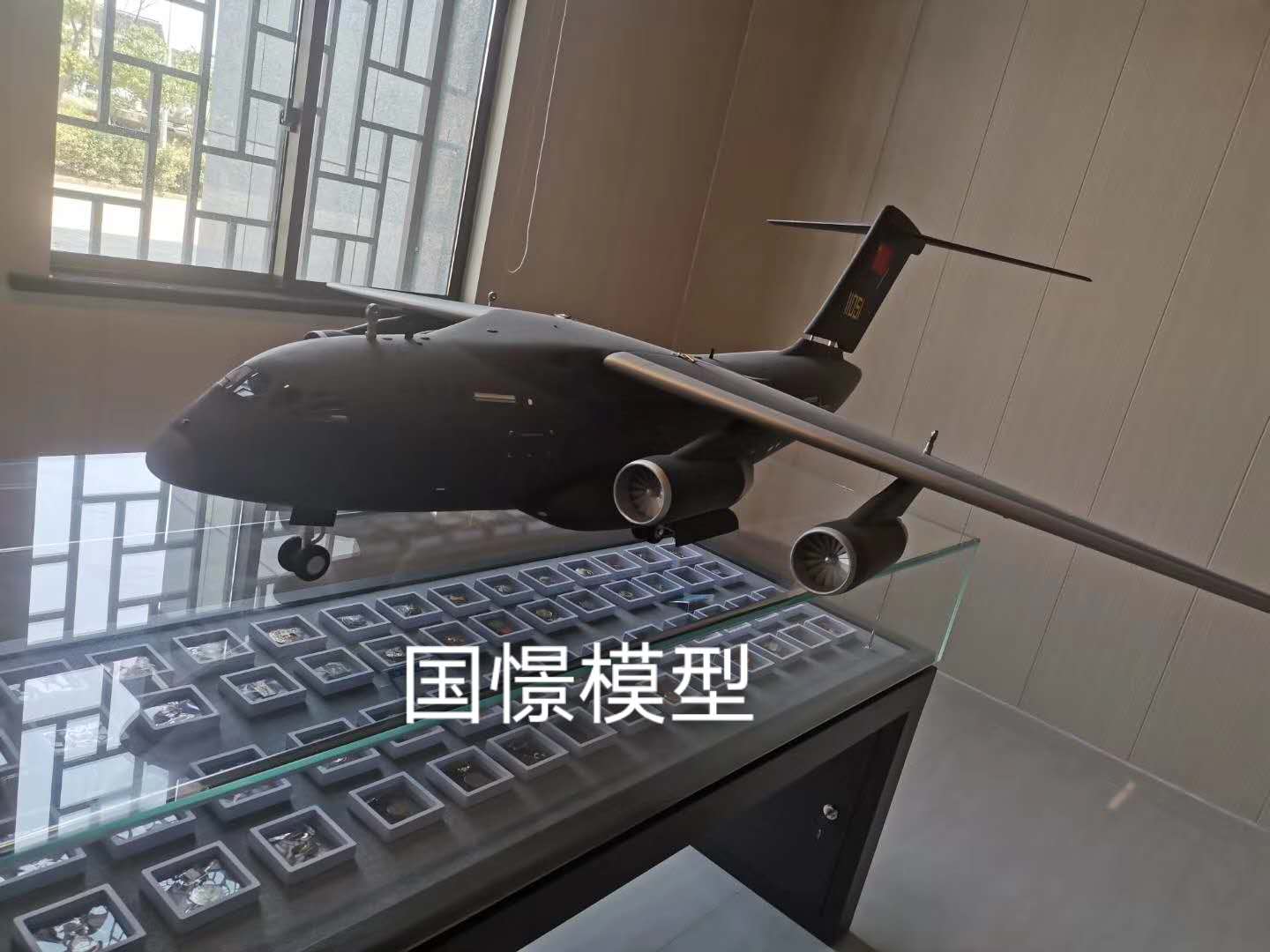 无为市飞机模型