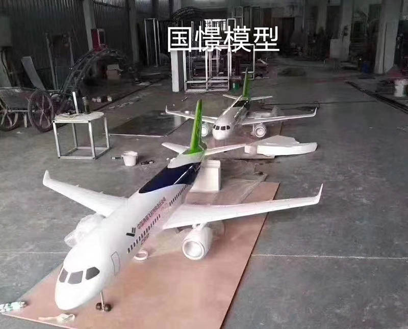 无为市飞机模型