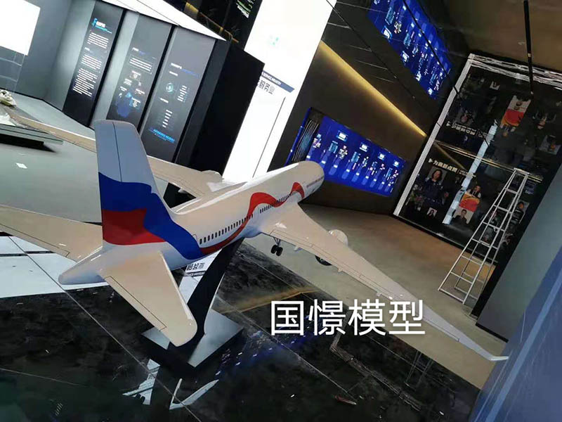 无为市飞机模型
