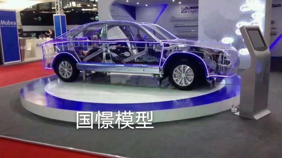 无为市透明车模型