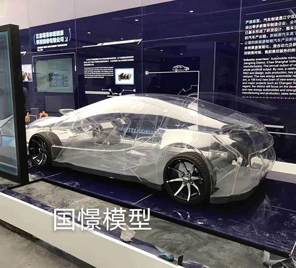 无为市透明车模型