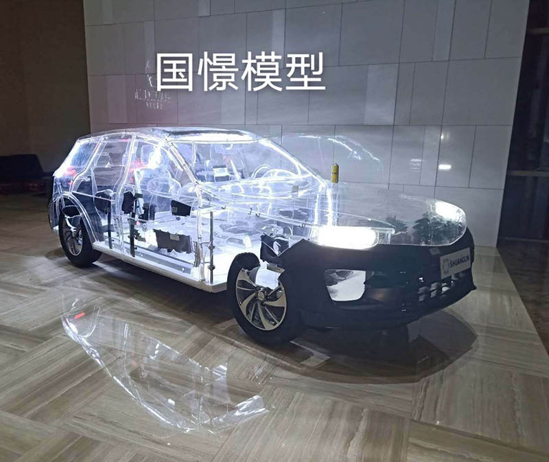 无为市透明车模型